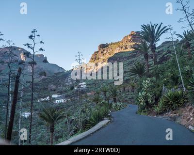 Strada tortuosa al villaggio di Guarimiar. Al sentiero escursionistico attraverso la gola di Barranco de Guarimiar. Verdi pendii del canyon di montagna con palme e succulente Foto Stock