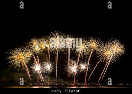 Fuochi d'artificio reale mostra celebrazione, colorato Capodanno fuochi d'artificio Foto Stock