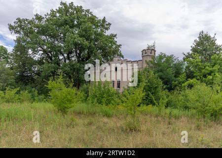 Resti della Slesia Windsor - Palazzo della Sibilla a Szczodre, Polonia. Foto Stock