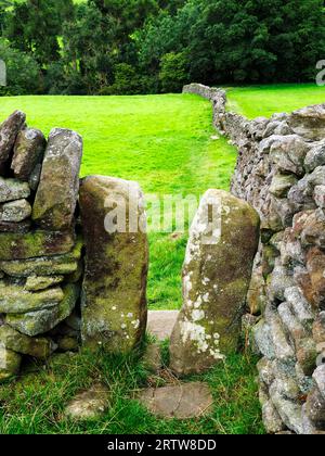 Gap stile in un muro di pietra a secco sulla Nidderdale Way tra Middlesmoor e Stean Nidderdale AONB North Yorkshire Inghilterra Foto Stock