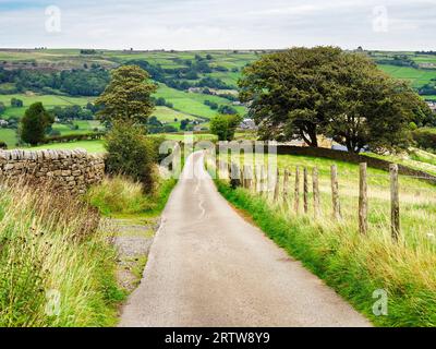 La Nidderdale Way si dirige lungo la corsia verso Bewerley vicino a Ladies Riggs Nidderdale AONB North Yorkshire Inghilterra Foto Stock