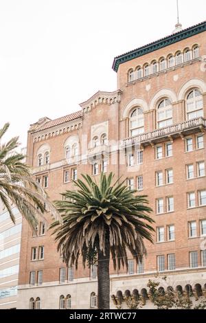 Un edificio commerciale in mattoni rossi e una palma a San Francisco Foto Stock
