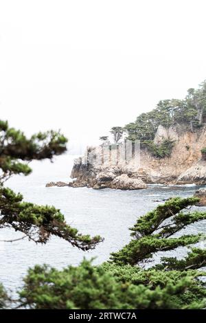 Un'occhiata all'oceano pacifico attraverso gli alberi di Point lobos Cal Foto Stock
