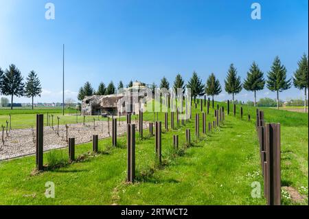 Ricostruzione del casemate di Esch come parte della linea Maginot con recinzione in filo spinato, binari anticarro e carri armati M4 Sherman, Hatten, Alsazia, Francia, Euro Foto Stock