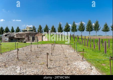 Ricostruzione del casemate di Esch come parte della linea Maginot con recinzione in filo spinato, binari anticarro e carri armati M4 Sherman, Hatten, Alsazia, Francia, Euro Foto Stock