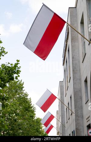 Bandiere polacche sulle case di strada della città. Patriottismo. Bandiera rossa e bianca. Polonia. Foto Stock