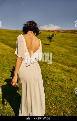 vista posteriore di una bruna in abito da sposa che cammina nel campo verde sotto il cielo blu della campagna Foto Stock