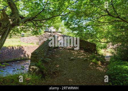 Ponte di cavalli da pacco West Luccombe su Horner Water nell'Exmoor National Park, Somerset, Inghilterra. Foto Stock