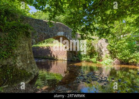 Ponte di cavalli da pacco West Luccombe su Horner Water nell'Exmoor National Park, Somerset, Inghilterra. Foto Stock