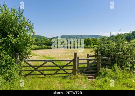 Un cancello e un cancello di baci in un campo vicino a West Luccombe nel Parco Nazionale Exmoor, Somerset, Inghilterra. Foto Stock
