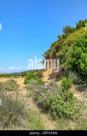 Spiagge di ciottoli Isola di Rab Vacanze estive in Croazia Foto Stock