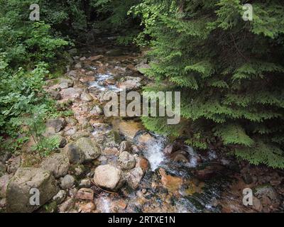 Przesieka (Gmina Podgórzyn, contea di Jelenia Góra, voivodato della bassa Slesia, Repubblica di Polonia) Foto Stock