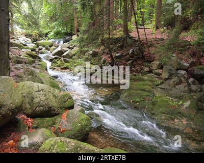 Przesieka (Gmina Podgórzyn, contea di Jelenia Góra, voivodato della bassa Slesia, Repubblica di Polonia) Foto Stock