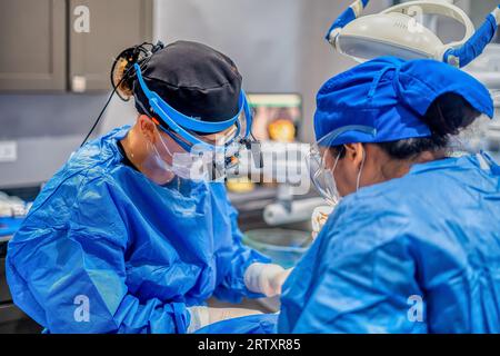 Due professionisti medici che indossano scrub sterili e indumenti protettivi sono impegnati nella preparazione preoperatoria in un ambiente clinico Foto Stock