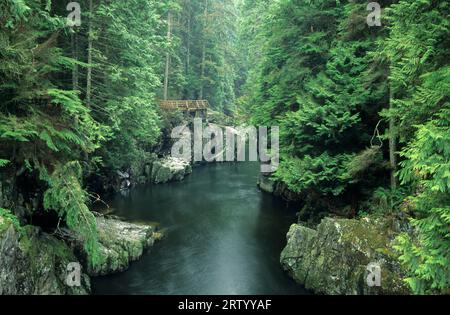 Fiume Capilano, Parco Regionale Del Fiume Capilano, Columbia Britannica, Canada Foto Stock