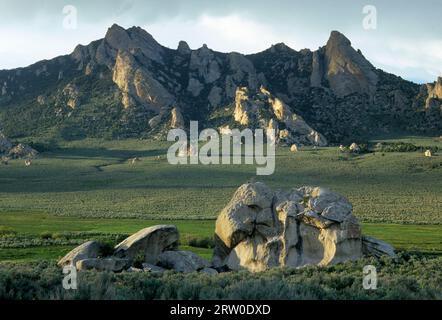 Affioramenti di granito attraverso il drenaggio di Circle Creek, City of Rocks National Reserve, Idaho Foto Stock