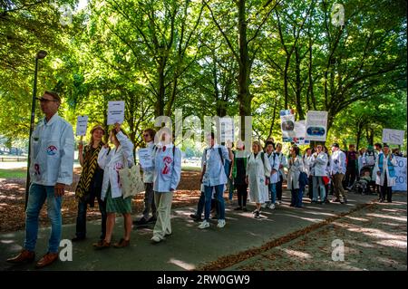 Gli scienziati stanno in fila tenendo cartelli sul cambiamento climatico. Diverse organizzazioni climatiche organizzarono uno sciopero scolastico contro i combustibili fossili. Questo sciopero è organizzato come parte di più di 400 azioni organizzate in tutto il mondo in lotta per la fine dei combustibili fossili. La protesta contava su una processione di insegnanti delle università di tutto il paese che sostenevano la manifestazione. Questa manifestazione è avvenuta vicino all'autostrada A12, dove i manifestanti della ribellione dell'estinzione bloccano la strada ogni giorno. Le proteste sono programmate poco prima dell'ambizione climatica delle Nazioni Unite Foto Stock