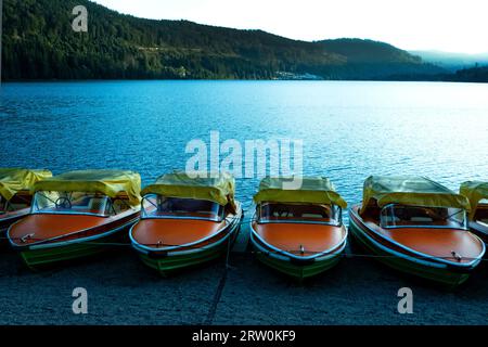 Titsee nella Foresta Nera in Germania Foto Stock