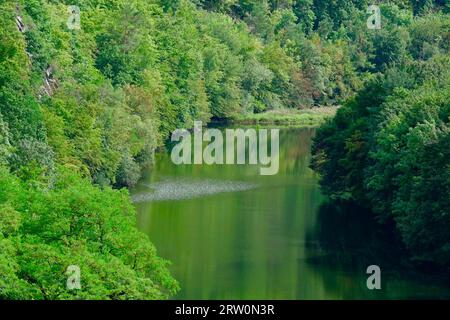 Lago Edersee in tarda estate, Assia, Germania Foto Stock