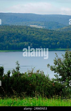 Lago Edersee in tarda estate, Assia, Germania Foto Stock