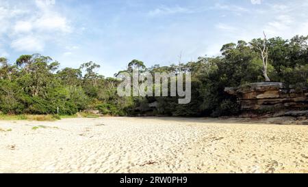 Collins Beach a Spring Cove a Manly, Sydney, Australia Foto Stock