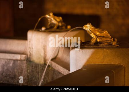 Polonia, Torun, rane sculture versando acqua a notte, dettagli di una fontana nella Città Vecchia Foto Stock