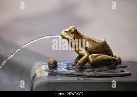 Scultura di rana dorata in bronzo che versa acqua, dettaglio di una fontana del 1914 a Torun, in Polonia Foto Stock