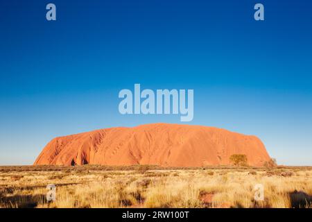 Maestosa Uluru al tramonto su una chiara inverno di sera nel Territorio del Nord, l'Australia Foto Stock