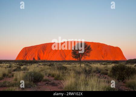 Maestosa Uluru al tramonto su una chiara inverno di sera nel Territorio del Nord, l'Australia Foto Stock