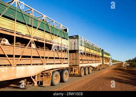Gemtree, Australia, 6 luglio 2015: Un iconico treno stradale australiano a 3 rimorchi viaggia lungo la Plenty Hwy vicino a Gemtree, nel territorio del Nord, in Australia Foto Stock