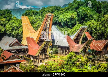 Foto di case ancestrali tradizionali, tongkonani, con grandi tetti a forma di barca e a dorso di sella nella regione di Toraja a Sulawesi, Indonesia Foto Stock