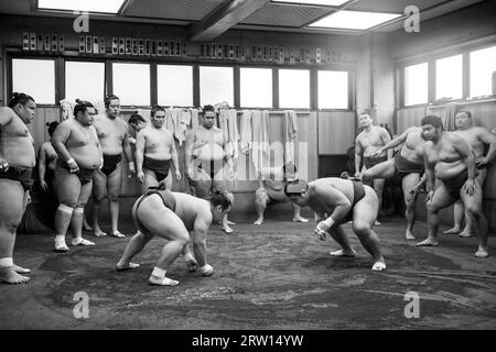 Tokyo, Giappone, 21 dicembre 2014: Allenamento dei lottatori di sumo giapponesi nel loro stallo nel distretto di Ryogoku Foto Stock