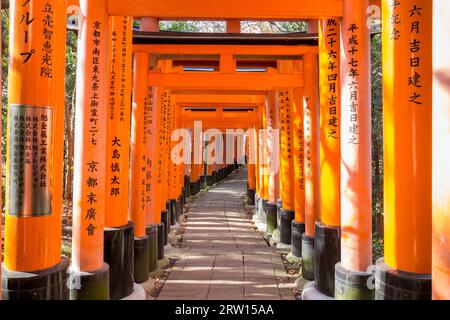 Kyoto, Giappone, 13 dicembre 2014: Porte arancioni chiamate torii al Santuario Fushimi Inari Foto Stock