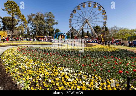 Canberra, Australia. 16 settembre 2023. La gente visita il Floriade Flower Festival al Commonwealth Park di Canberra, Australia, 16 settembre 2023. Floriade, uno degli eventi simbolo del territorio della capitale australiana, si tiene qui dal 16 settembre al 15 ottobre. Crediti: Chu Chen/Xinhua/Alamy Live News Foto Stock