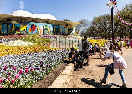 Canberra, Australia. 16 settembre 2023. La gente visita il Floriade Flower Festival al Commonwealth Park di Canberra, Australia, 16 settembre 2023. Floriade, uno degli eventi simbolo del territorio della capitale australiana, si tiene qui dal 16 settembre al 15 ottobre. Crediti: Chu Chen/Xinhua/Alamy Live News Foto Stock