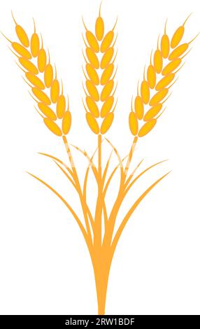 Mazzo di orecchie bouquet steli di grano foglie di giallo maturo Illustrazione Vettoriale