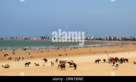 Essaouira, Marocco: Vista panoramica sulla spiaggia con sullo sfondo la città vecchia. Popolare destinazione marocchina per il windsurf e il kitesurf Foto Stock