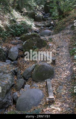 Le sfere di pietra in Bosnia-Erzegovina sono fenomeni naturali. La più grande sfera di pietra fu scoperta a Zavidovici nel 2016, nella città di Podubravlj Foto Stock