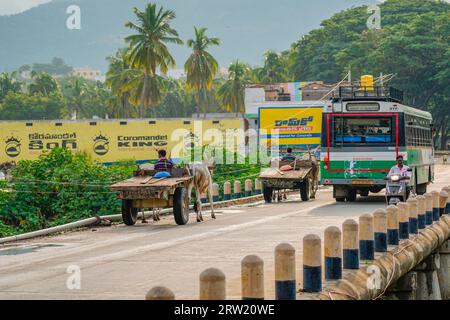 Puttaparthi, India - 01 settembre 2023: Due carri bue su un ponte a Puttaparthi con un autobus pubblico e uno scooter con un uomo Foto Stock
