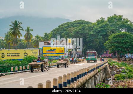 Puttaparthi, India - 1 settembre 2023: Due carri bue su un ponte a Puttaparthi con un autobus pubblico e persone che camminano Foto Stock
