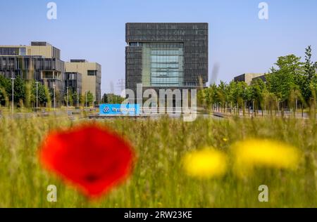 08.06.2023, Germania, Renania settentrionale-Vestfalia, Essen - ThyssenKrupp, logo aziendale davanti alla sede centrale. ThyssenKrupp AG, con sede a Essen, Foto Stock