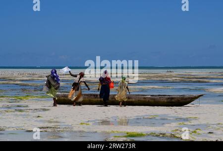 Coltivatori di alghe a Zanzibar Foto Stock