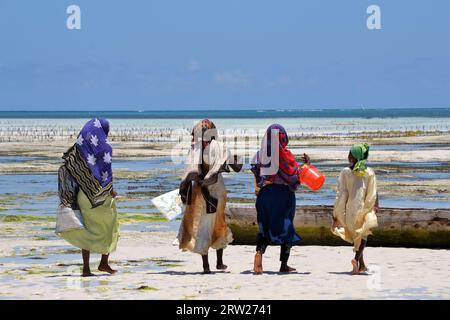 Coltivatori di alghe a Zanzibar Foto Stock