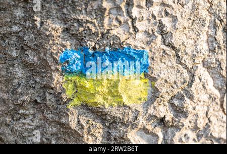 Bandiera Ucraina dipinta sulla corteccia di un albero Foto Stock