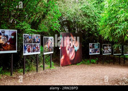 Mostra al 18° Festival fotografico la Gacilly Foto Stock