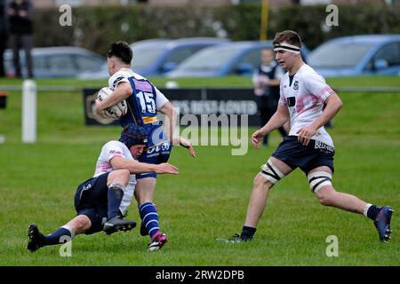 Selkirk, Regno Unito. 16 settembre 2023. SELKIRK, sabato 16 settembre 2023. Premiership/Border League Selkirk RFC vs JedForest RFC a Philiphaugh Border Derby Clash ( Credit: Rob Gray/Alamy Live News Foto Stock