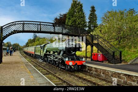 Treno a vapore Flying Scotsman che arriva alla stazione Boat of Garten in Scozia Foto Stock