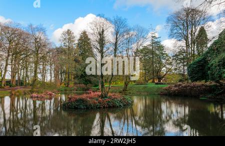 Saintfield County Down Irlanda del Nord, febbraio 27 2020 - laghetto con piccolo isolotto nei Rowallane Gardens a Saintfield Irlanda del Nord Foto Stock