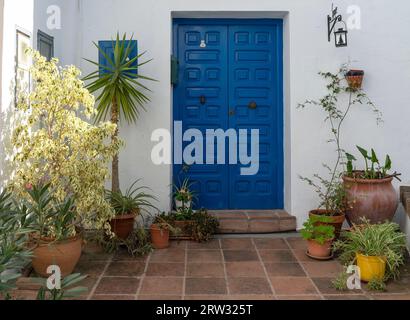 Antica porta in legno di colore blu su sfondo o parete bianca con vasi e fiori di colori diversi. Frigiliana. Spagna. Foto Stock