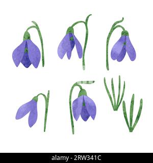 Set di fiori a goccia di neve isolati su bianco. Fiori primaverili ad acquerello vettoriale. Illustrazione Vettoriale